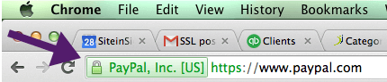 ssl padlock icon