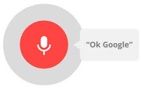 voice search